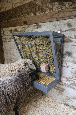 Livestock Sheep & Goat 3 in 1 Hanging Feeder