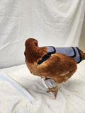Chick Outfitters Chicken Saddle (Blue)