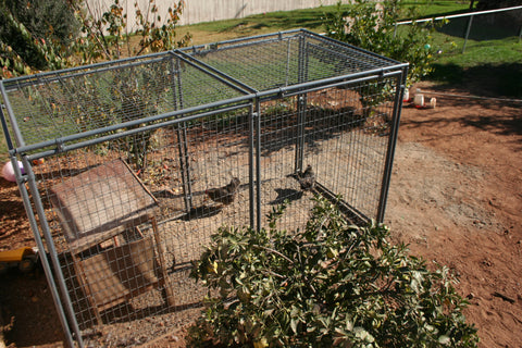 Durango Kennel Wire Top Panel 5 x 10 Galv