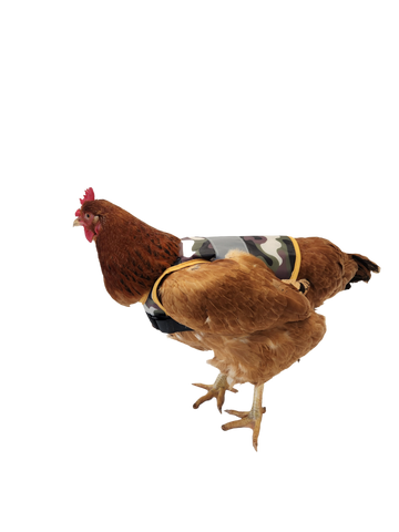 Chick Outfitters Chicken Comfort Saddle (Camo)