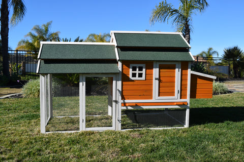 Chicken Coop Cheyenne