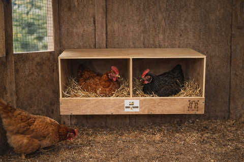 RUGG'egg' RANCH DUPLEX NESTING BOX