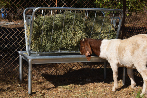 Livestock Pasture Feeder Mini 4'