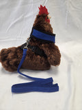 Chick Outfitters Chicken Harness & Leash (Blue)