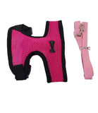 Chick Outfitters Chicken Harness & Leash (Pink)