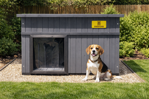 Dog House Large