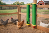High End Hen Poultry Feeder & Waterer Combo Set