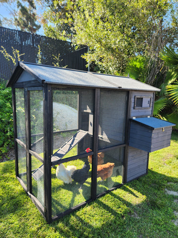 Chicken Coop Pueblo Grand Gray & Black Walk In Style
