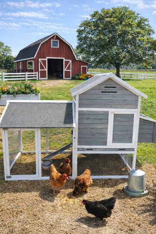 Chicken Coop Raised Wood