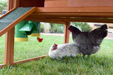 High End Hen Poultry Waterer by Rugged Ranch Products